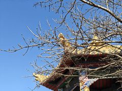 -沈阳辉山风景区