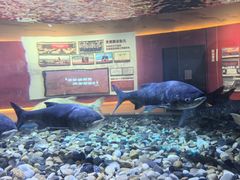 -千岛湖鱼味馆(十字街总店)