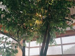 -蜜桃餐厅·伴山(湖滨商业街店)