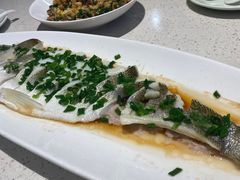 -船歌·鱼水饺青岛菜(金狮广场店)