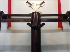 -温鉴良实用咏春拳