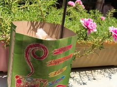 -半坡九号老挝冰咖啡