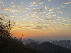 -桃花岭景区