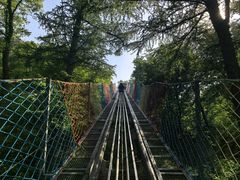 -沂蒙山旅游区云蒙景区(蒙山国家森林公园)