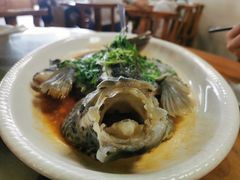 -八仔大富楼·河鲜(西江店)