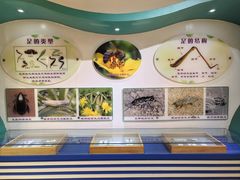 -上海昆虫博物馆