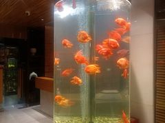 -红鱼湾餐厅(国际大厦店)