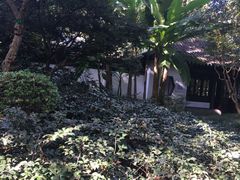 -秋霞圃