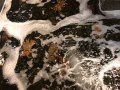 -蟹料理 北海道かに将軍(札幌本店)