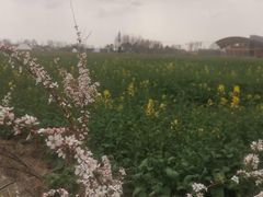 -中国天府农业博览园