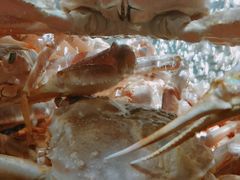 -徐记海鲜(大明宫|北二环店)