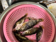 -途中饭店(开化店)