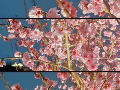 -苏州河梦清园环保主题公园