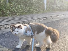 -火炉山森林公园