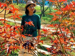 -广州市帽峰山景区