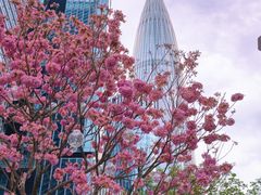 -深圳湾万象城(南山店)