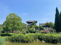 -徐州龟山景区