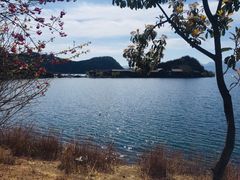 -丽江泸沽湖景区-里格半岛