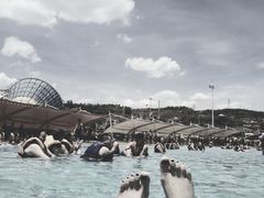 -青鱼湾水上乐园