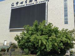 -辽宁古生物博物馆