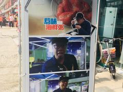 -蚝专家