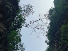 -湖洞水自然风景区