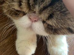 -参差咖啡(水果湖公园店)