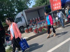 -蒲河大集