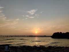 -宝安西湾红树林湿地公园