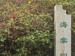 -洛阳市隋唐城遗址植物园