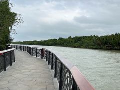 -东寨港红树林旅游区