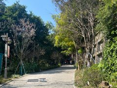 -乌山风景区