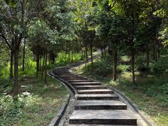 -火炉山森林公园
