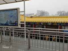 -海河游船-永乐码头(大悲院)