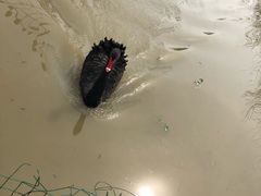 -扬州天乐湖嬉乐谷
