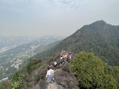 -南山植物园