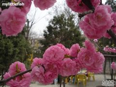 -雁滩公园
