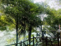 -仙岛湖旅游风景区