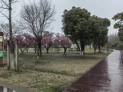 -南湖湿地公园