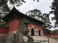 -磬锤峰森林公园