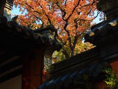 -灵谷景区