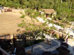 -看见远方·莫干遥远的山民宿