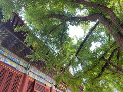 -红螺寺