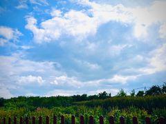 -武汉紫薇都市田园