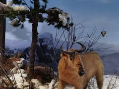 -陕西自然博物馆