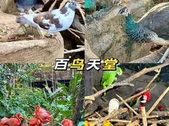 -长鹿旅游休博园