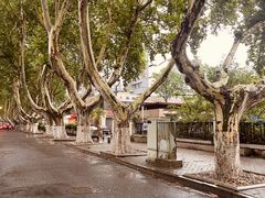 -明故宫遗址公园