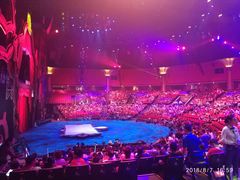 -珠海横琴长隆《卡卡虎奇遇记》