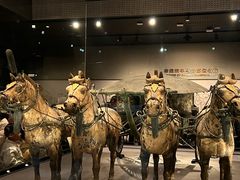 -秦始皇帝陵博物院-丽山园