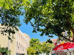 -九龙餐厅(大沽路店)